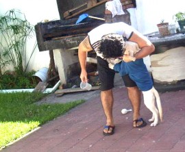 Angus